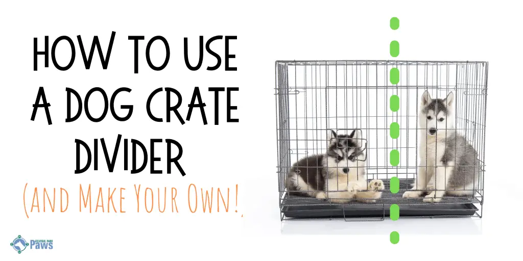 dog crate divider panel
