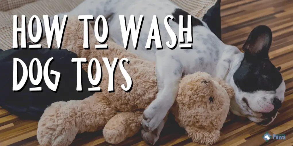 washing stuffed dog toys